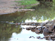 NOTA DE ESCLARECIMENTO: QUALIDADE DA ÁGUA EM DOM BOSCO