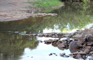 NOTA DE ESCLARECIMENTO: QUALIDADE DA ÁGUA EM DOM BOSCO