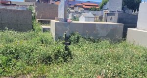ABANDONO NO CEMITÉRIO MUNICIPAL SÃO VICENTE DE PAULO: UMA DENÚNCIA DE DESCASO