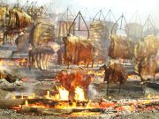 Costelão do Lions Clube de Unaí: Sucesso de Solidariedade e Confraternização