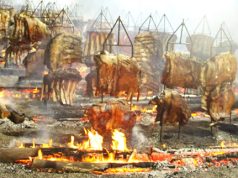 Costelão do Lions Clube de Unaí: Sucesso de Solidariedade e Confraternização