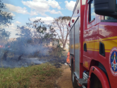 Incêndio em pastagem mobiliza Corpo de Bombeiros na Curva do Rio, em Unaí