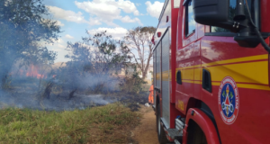 Incêndio em pastagem mobiliza Corpo de Bombeiros na Curva do Rio, em Unaí