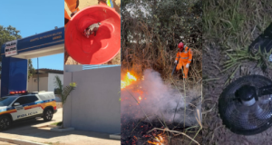 OCORRÊNCIAS EM UNAÍ E REGIÃO: BOMBEIROS CAPTURAM GAMBÁ, COMBATEM INCÊNDIO EM VEGETAÇÃO E PM PRENDE SUSPEITO DE ROUBO EM ARINOS