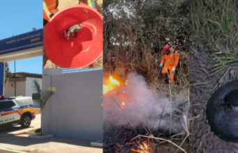 OCORRÊNCIAS EM UNAÍ E REGIÃO: BOMBEIROS CAPTURAM GAMBÁ, COMBATEM INCÊNDIO EM VEGETAÇÃO E PM PRENDE SUSPEITO DE ROUBO EM ARINOS