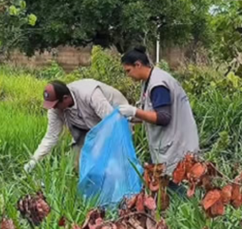 Prefeitura de Unaí reforça combate à dengue e consolida redução de casos