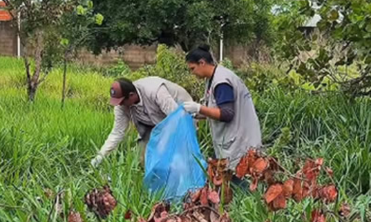 Prefeitura de Unaí reforça combate à dengue e consolida redução de casos